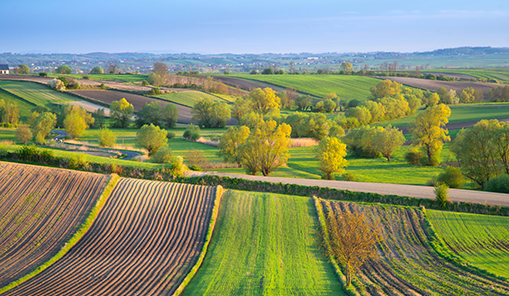 Poland, spring landscape with agricultural fields